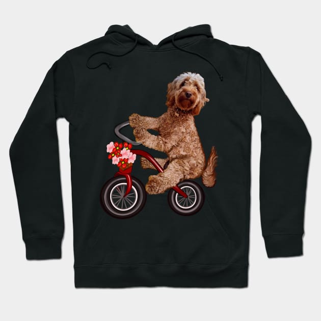 Cavapoo puppy dog on a tricycle bicycle - cavalier King Charles spaniel poodle cycling. puppy love Hoodie by Artonmytee